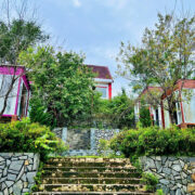TIM HOMES FARM