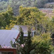TIM HOMES FARM